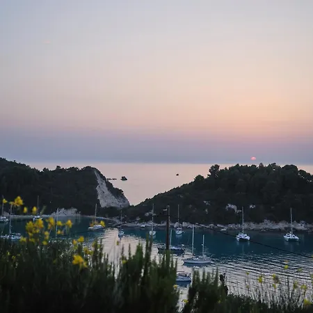 Vigla Paxos *