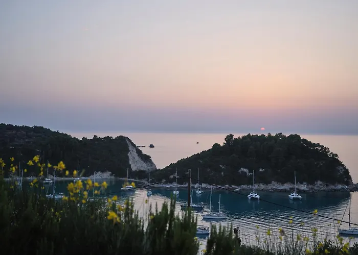 Vigla Paxos *